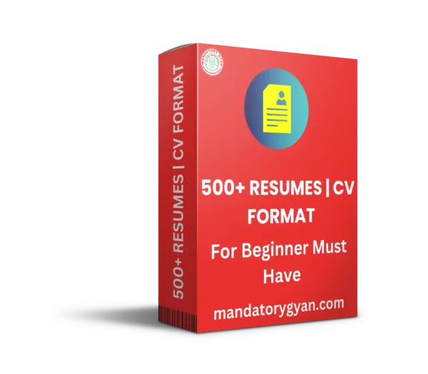 500 resume format